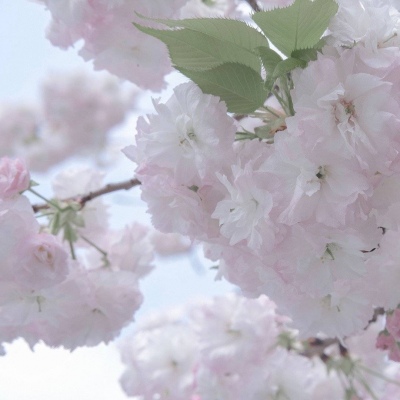 Furry插画故事感灵感兽圈社群