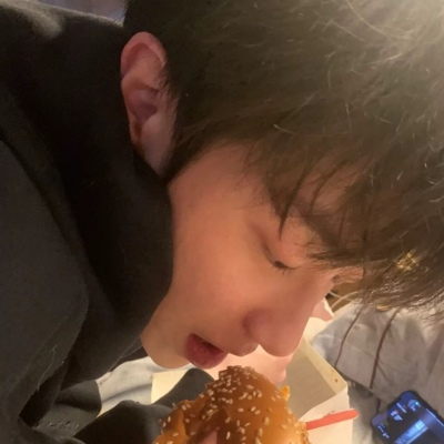 兽设动态构图思路福瑞群